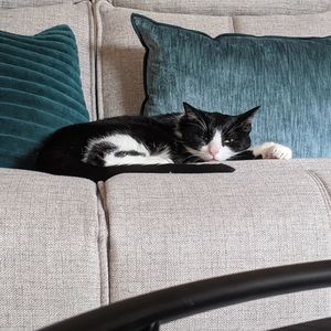 Meet your Posher, Luiza